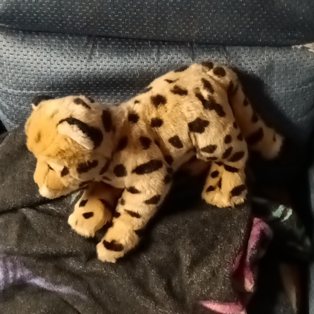 Stuffed animal